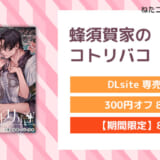 蜂須賀家のコトリバコ
