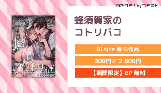 【8P無料】蜂須賀家のコトリバコ(ヨールキ・パールキ)【口コミあり】