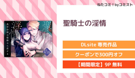 【9P無料】聖騎士の淫情(KOMAOTO)【口コミあり】