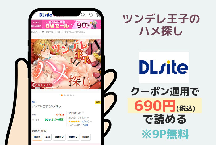 ツンデレ王子のハメ探しはDLsiteで読める