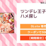 ツンデレ王子のハメ探し