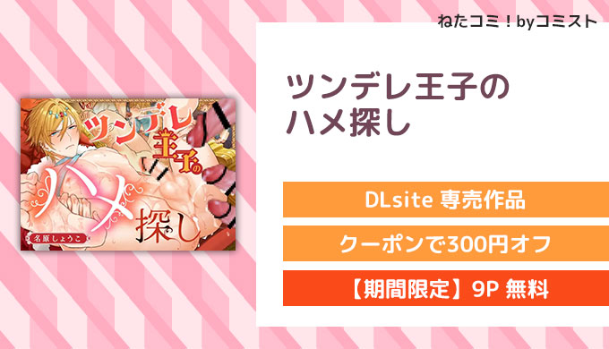ツンデレ王子のハメ探し