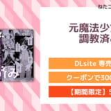 元魔法少女、調教済み